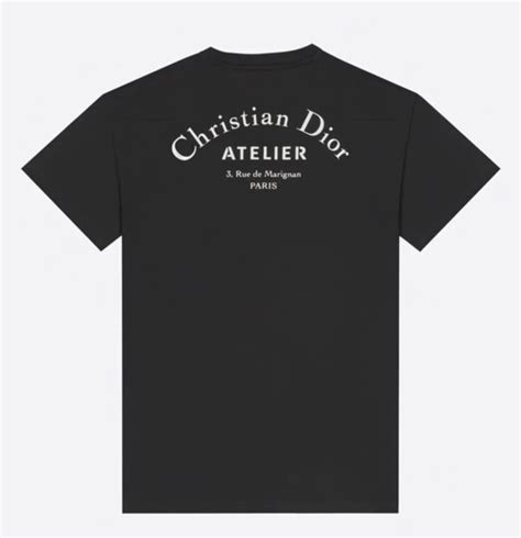 mens grey dior t shirt|Dior t shirt men's price.